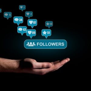 lnf19 linkedin followers