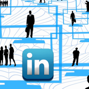 lnf18 linkedin company followers premium