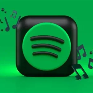 spp40 spotify likes [album/playlist] real