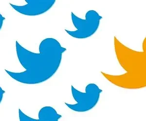 twm7 twitter mention user followers