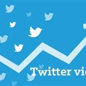 twv20 twitter organic views